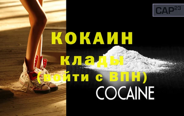 дживик Надым