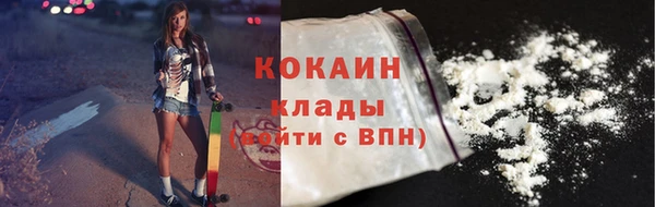 дживик Надым