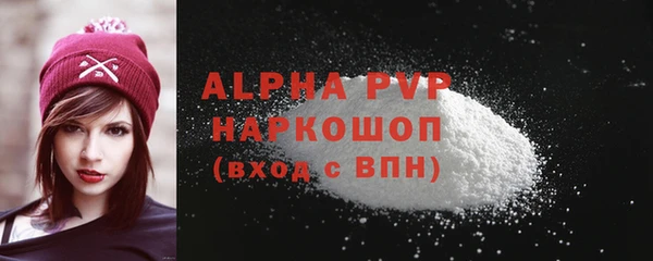 дживик Надым