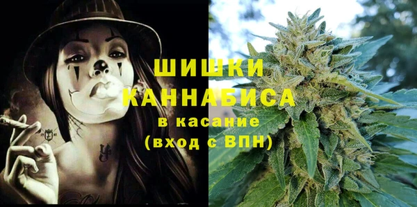 дживик Надым