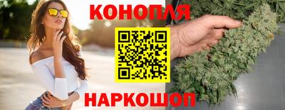 стафф Заводоуковск