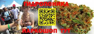 стафф Заводоуковск