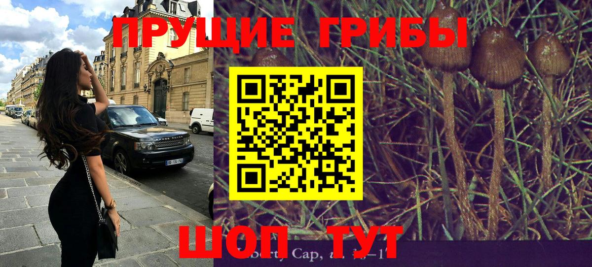 Псилоцибиновые грибы ЛСД Отрадный