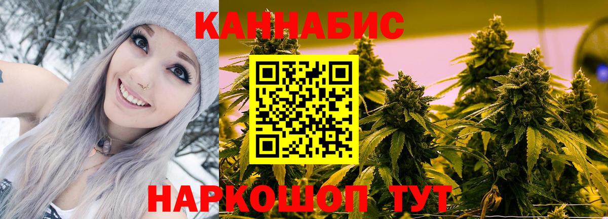 Шишки марихуана MAZAR Отрадный